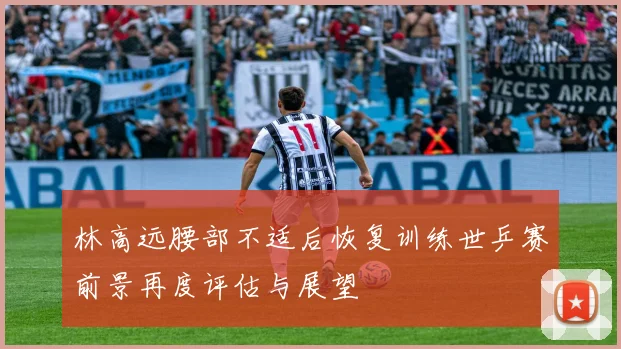 林高远腰部不适后恢复训练世乒赛前景再度评估与展望